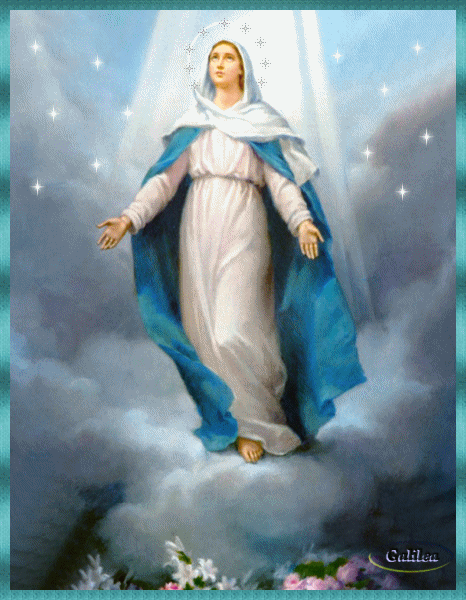Imágenes de la virgen María con movimiento | Descargar imágenes gratis